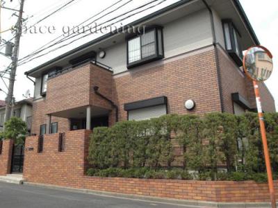 生垣 種類 カイズカイブキ 生垣 種類 カイズカイブキ