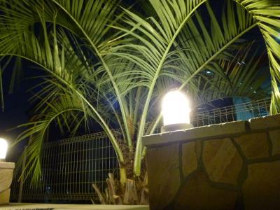 ココスヤシ ライトアップ ココスヤシ ライトアップ