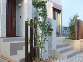 ソヨゴ シンボルツリー ソヨゴ シンボルツリー