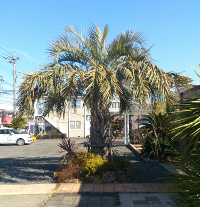 ココスヤシ さいたま展示場 ココスヤシ さいたま展示場