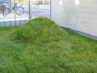 庭 芝 築山 庭 芝 築山