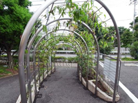 アーチ ステンレス製 アプローチ アーチ ステンレス製 アプローチ
