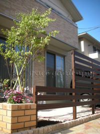 庭木 植栽 シンボルツリー 常緑樹 ハイノキ 庭木 植栽 シンボルツリー 常緑樹 ハイノキ