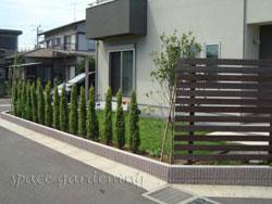 庭 植栽 生垣 常緑樹 コニファー ゴールドコーン 船橋市 庭 植栽 生垣 常緑樹 コニファー ゴールドコーン 船橋市