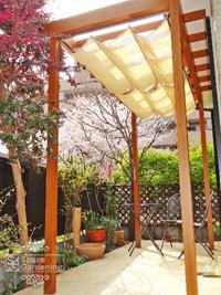 パーゴラ テラス屋根 タカショー ポーチ ナチュラルパイン パーゴラ テラス屋根 タカショー ポーチ ナチュラルパイン