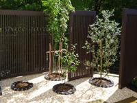 花壇 ピンコロ 化粧砂利 マーブロックイエロー 花壇 ピンコロ 化粧砂利 マーブロックイエロー