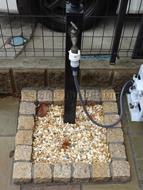 立水栓 水受け ピンコロ 立水栓 水受け ピンコロ