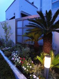 植栽 シンボルツリー ソテツ 植栽 シンボルツリー ソテツ