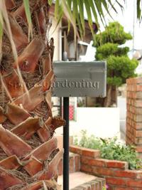 ¿¢ºÏ¡¡ÄíÌÚ¡¡¾ïÎмù¡¡¥ï¥·¥ó¥È¥ó¥ä¥·¡¡´´ ¿¢ºÏ¡¡ÄíÌÚ¡¡¾ïÎмù¡¡¥ï¥·¥ó¥È¥ó¥ä¥·¡¡´´