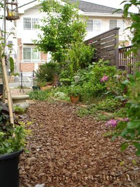 Äí¡¡¥¢¥×¥í¡¼¥Á¡¡¥¦¥Ã¥É¥Á¥Ã¥× Äí¡¡¥¢¥×¥í¡¼¥Á¡¡¥¦¥Ã¥É¥Á¥Ã¥×