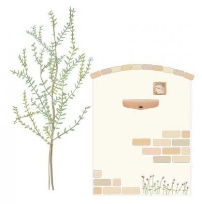 ディーズガーデン アンジュ-F(シャンパーニュピンク) G-05(オリーブベージュ) ディーズガーデン アンジュ-F(シャンパーニュピンク) G-05(オリーブベージュ)