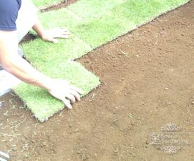 芝 庭 DIY 芝 庭 DIY