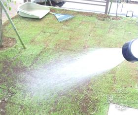 芝 庭 DIY 芝 庭 DIY