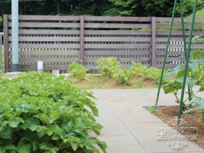 庭 菜園スペース 庭 菜園スペース