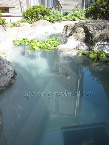 和風 庭 池 和風 庭 池