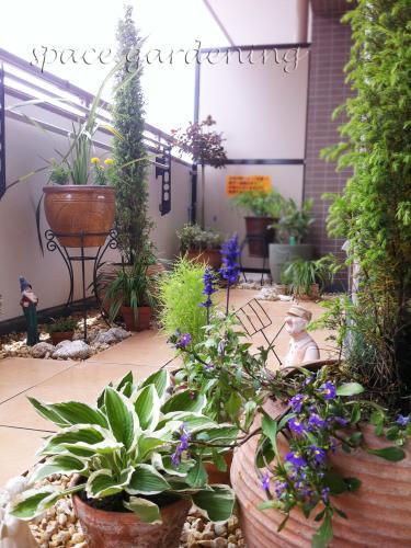 バルコニー 植栽 下草 バルコニー 植栽 下草