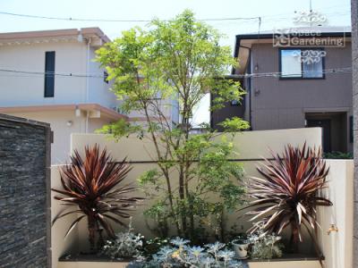 坪庭 洋風 坪庭 洋風