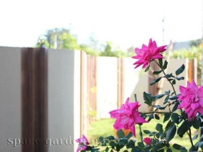 植栽 下草 バラ 植栽 下草 バラ