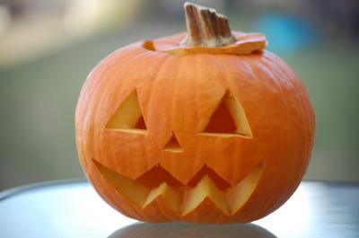 おばけかぼちゃ 育てよう おばけかぼちゃ 育てよう