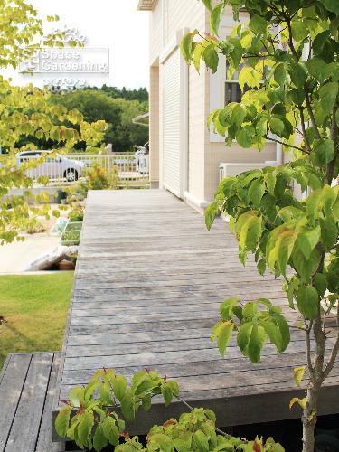 ウッドデッキ セランガンバツ材 経年変化 ウッドデッキ セランガンバツ材 経年変化