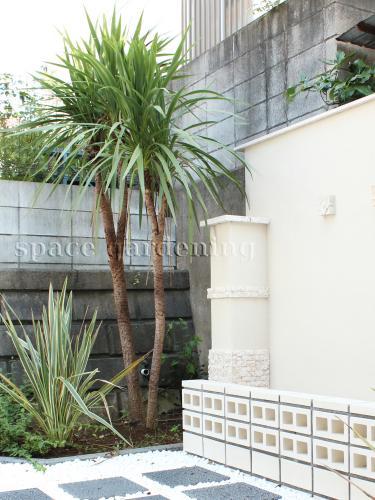 庭 ガーデン デザイン バリ リゾート ドラセナ 庭 ガーデン デザイン バリ リゾート ドラセナ