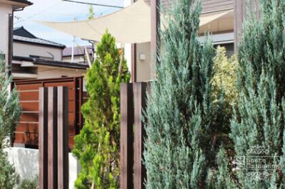 目隠し特集 目隠し特集