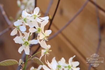 目隠し特集 目隠し特集