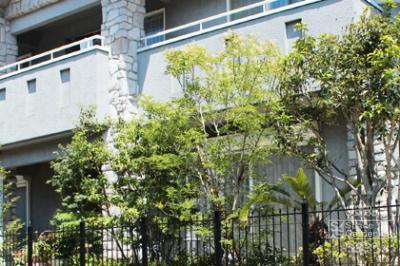 目隠し特集 目隠し特集