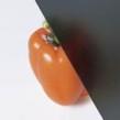 ݡȡ۸