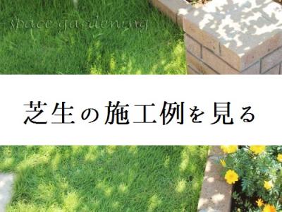 芝生は手入れ不要 じゃないの 千葉のお庭 外構専門店 お得な情報更新中 スペースガーデニング