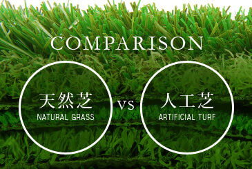 天然芝と人工芝の徹底比較