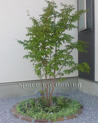 埼玉県川越市 新築庭工事 ナチュラル シンボルツリー 植栽