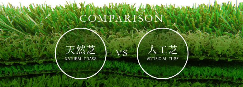 天然芝と人工芝を徹底比較