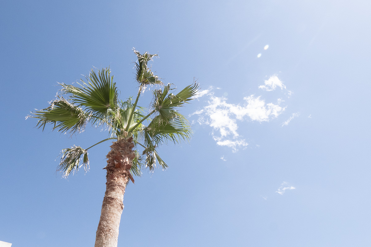 デジョユプール　家庭用プール 掃除